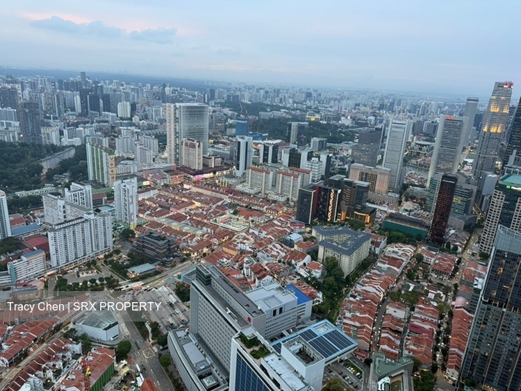 Wallich Residence  (D2), Condominium #563555001